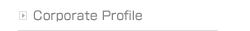 Corporate Profile