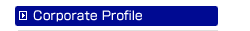 Corporate Profile